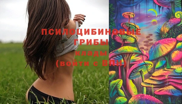 шишки Алзамай