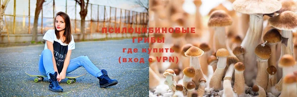 синтетический гашиш Алексин
