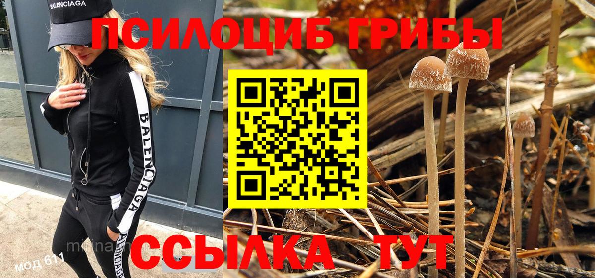 Кулебаки  Псилоцибиновые грибы Cubensis  Вход с VPN 