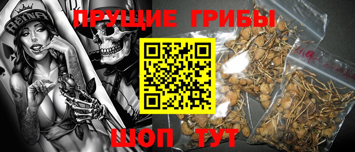 Псилоцибиновые грибы Magic Shrooms Кулебаки